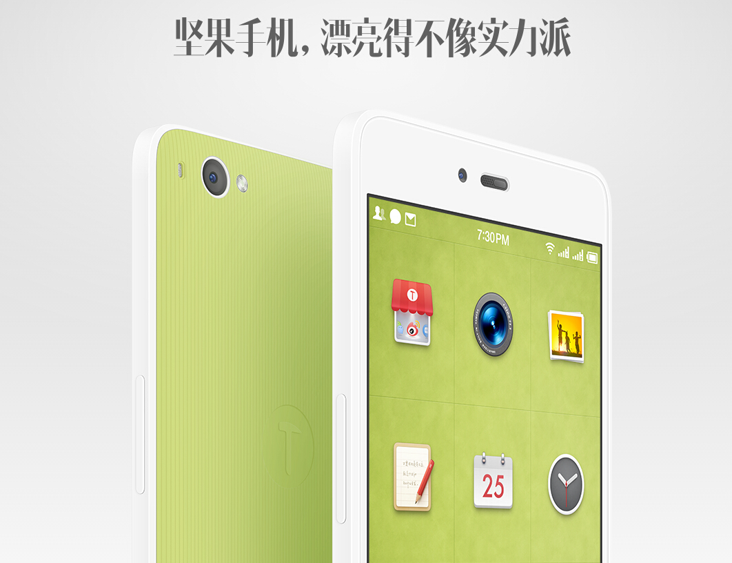 fview的坚果手机评测