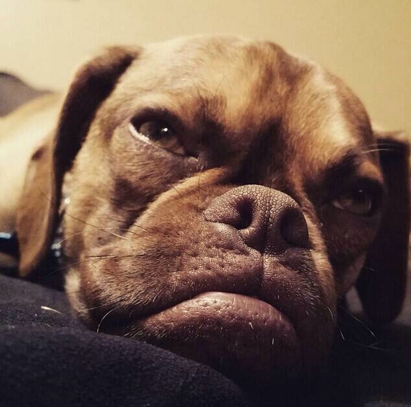 【知乎】你经历过哪些事情让你觉得对方「不愧是老手，有智慧！」？ 