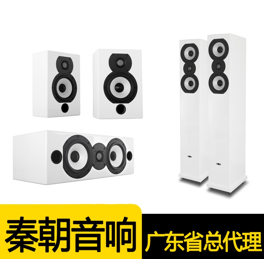 秦朝音响超值HiFi双5寸QT5