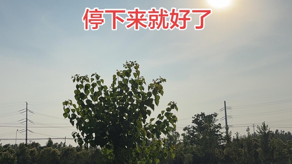 修正定：最究竟的消业之道